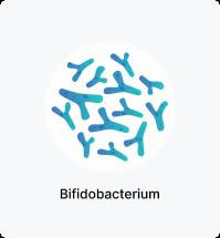 Bifidobacterium